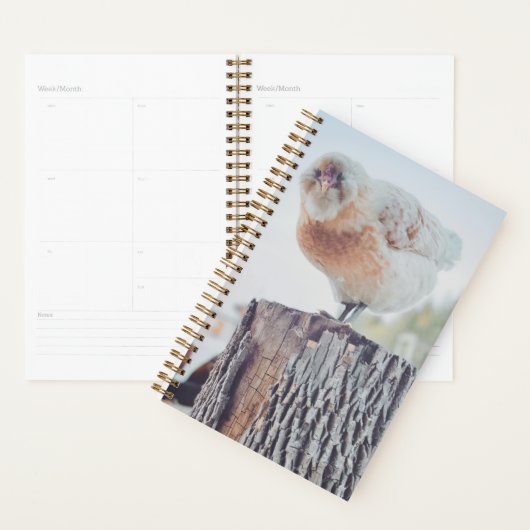 Spiral Planner - Its a Stumped Day プランナー手帳 (ディスプレー)