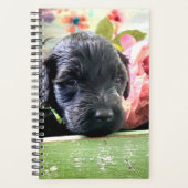 Spiral Planner Sweet Portuguese Water Dog プランナー手帳 (正面)