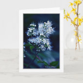 Spirea カード (黄色い花)