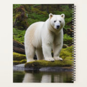 Spirit Bearカレンダー プランナー手帳 (裏面)