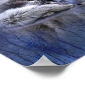 Spirit Of The Blueキツネアートポスター/プリント ポスター (角)