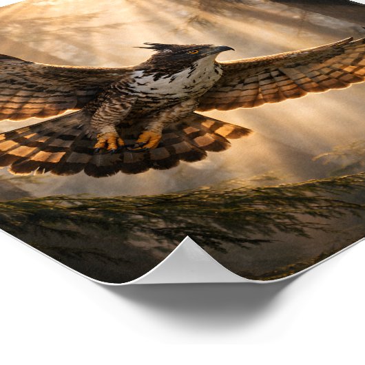 Spirit of the Deep Forest – Mountain Hawk-Eagle ポスター (角)