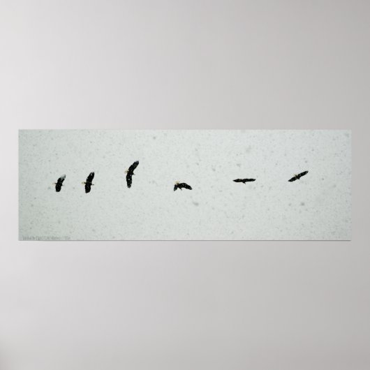 Spirit of the Flight ポスター (正面)