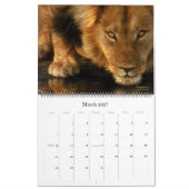 Spirit Of The Wild - Up Close Art Calendar 2013 カレンダー (3月 2027)