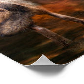 Spirit Of The Wolf Artポスター/プリント ポスター (角)