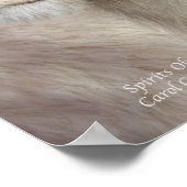 Spirits Of Light – ホワイトライオンアートポスター/プリント ポスター (角)