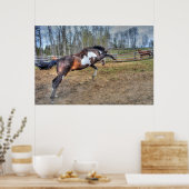 Spirted Pinto Stallionアクションウマ科の写真 ポスター (キッチン)