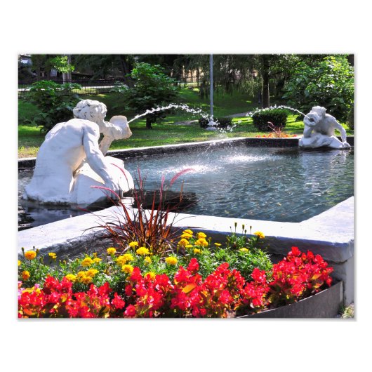 Spit and Spat - CONGRESS PARK フォトプリント (正面)