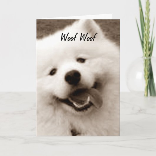 SPITZ WISHESハッピーバースデー「FROM THE GROUP」 カード (正面)