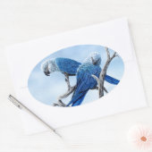 Spix macaw.映画リオの青いオウム。 楕円形シール (封筒)
