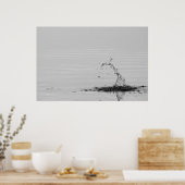 Splash ポスター (キッチン)