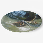 Splashdown ペーパープレート (アングル)