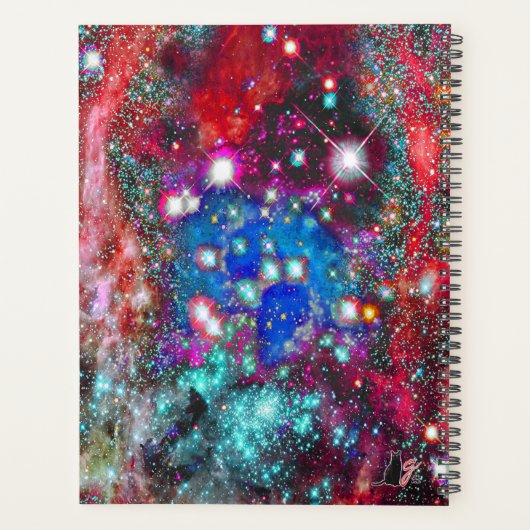 Splendorous Star Field プランナー手帳 (裏面)