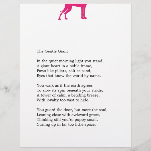 Splitter Great Dane  チラシ (正面)