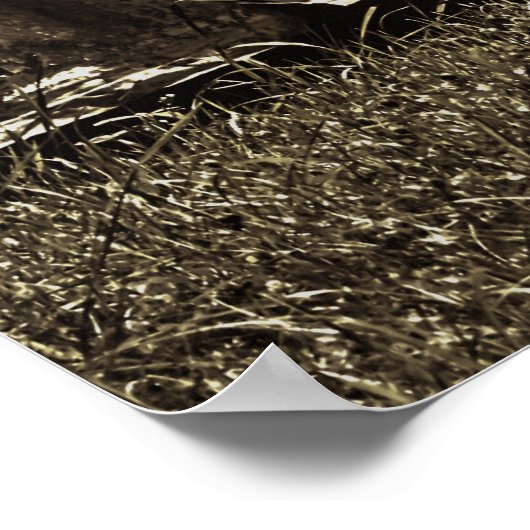 Spooky Graveyard ポスター (角)