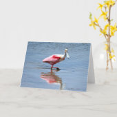 Spoonbill5 05 カード (黄色い花)