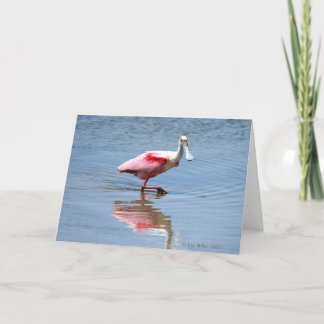 Spoonbill5 05 カード