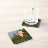 spoonbill コースター (右側)
