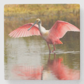 spoonbill ストーンコースター (正面)