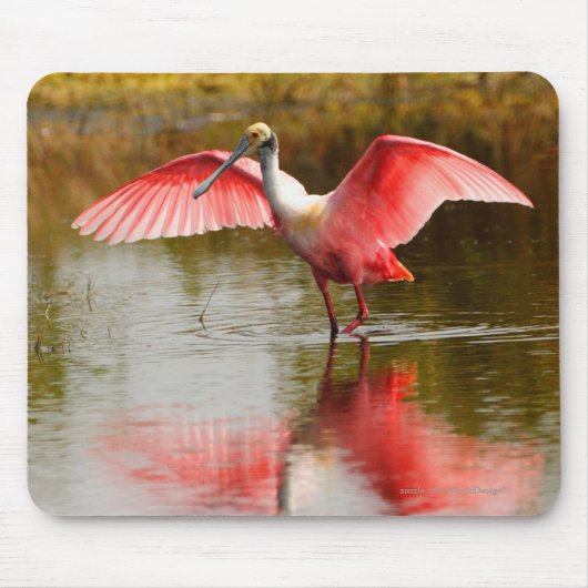 Spoonbill マウスパッド (正面)