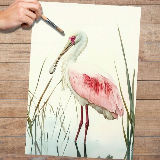 Spoonbill 2デコページ紙 薄葉紙