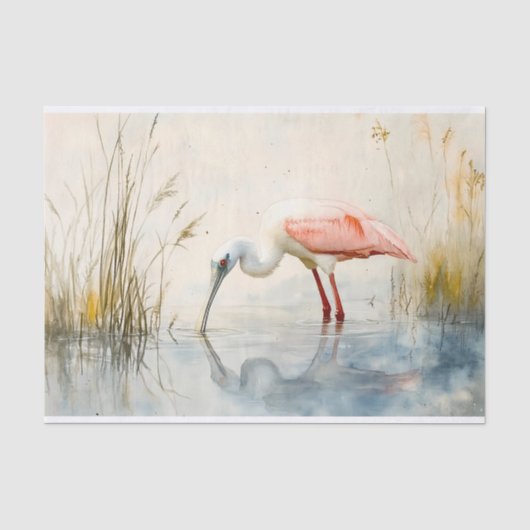 Spoonbill 6デコページ紙 薄葉紙 (正面)