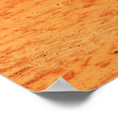 sport and color ポスター (角)