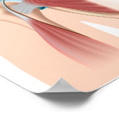 Sport injury shoulder impingement Poster ポスター (角)