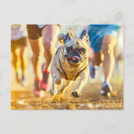 Sporty Pug Running During Exercise ポストカード