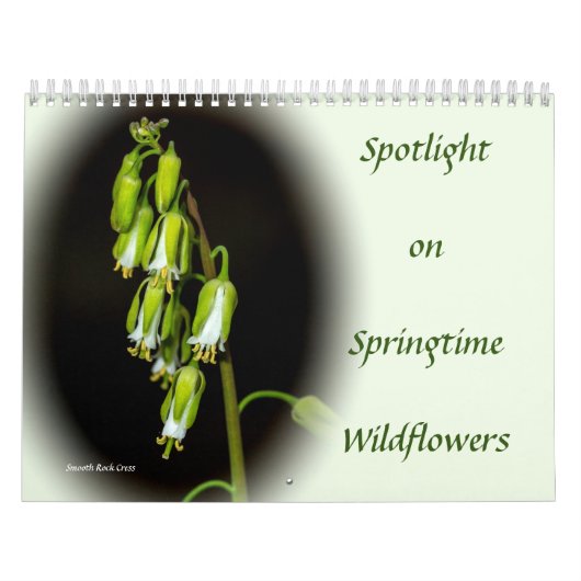 Spotlight on Springtime Wildflowersカレンダー カレンダー (カバー)
