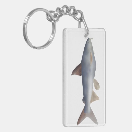 Spotted Catfish キーホルダー (正面左)