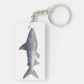 Spotted Catfish キーホルダー (裏面)