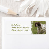 Spotted English Setter Dog Mailing Labels ラベル (インサイチュ)