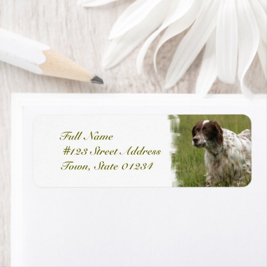 Spotted English Setter Dog Mailing Labels ラベル (インサイチュ)