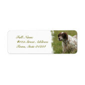 Spotted English Setter Dog Mailing Labels ラベル (正面)