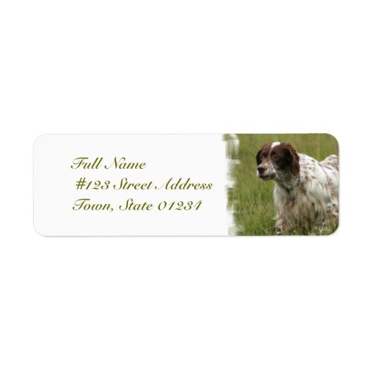Spotted English Setter Dog Mailing Labels ラベル (正面)