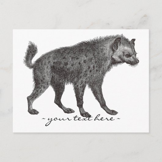 Spotted Hyenaポストカード ポストカード (正面)