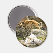 Spotted Hyena マグネット (正面/裏面)