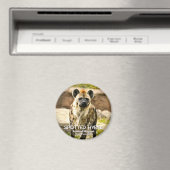 Spotted Hyena マグネット (インサイチュ (食洗機))