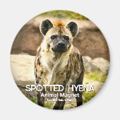 Spotted Hyena マグネット (正面)
