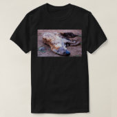 SPOTTED HYENA Crocuta crocuta Tシャツ (デザイン正面)