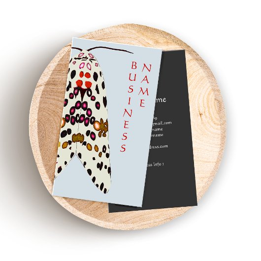 Spotted Moth Business Card 名刺