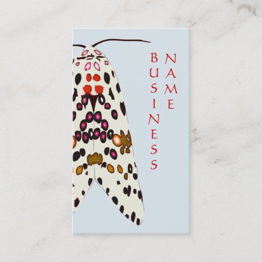 Spotted Moth Business Card 名刺 (正面)