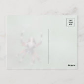 Spotted Orbweaver Spiderはがき ポストカード (裏面)