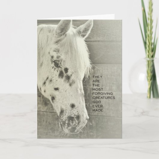 SPOTTED PONY Greeting Card サンキューカード (正面)