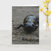 Spotted Salamander カード (黄色い花)