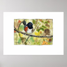 Spotted Towhee, bird image, wall art, decoration