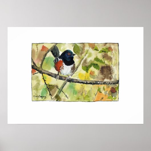 Spotted Towhee, bird image, wall art, decoration ポスター (正面)
