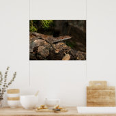 Spotted Tree Monitor ポスター (キッチン)