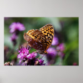 Spotted Wings ポスター (正面)